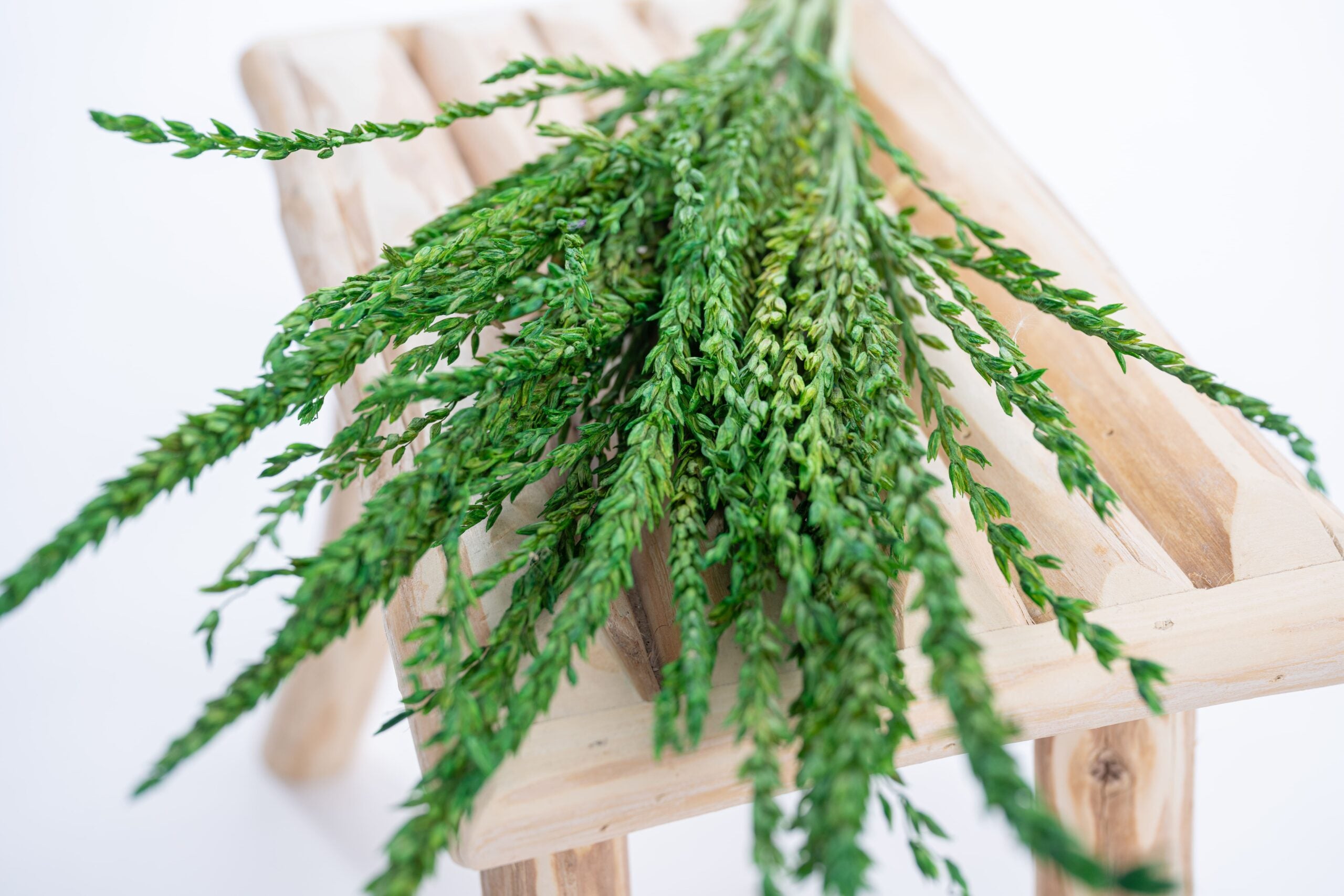 Fleur de pays ton vert – couleur franche et vibrante | Terralya