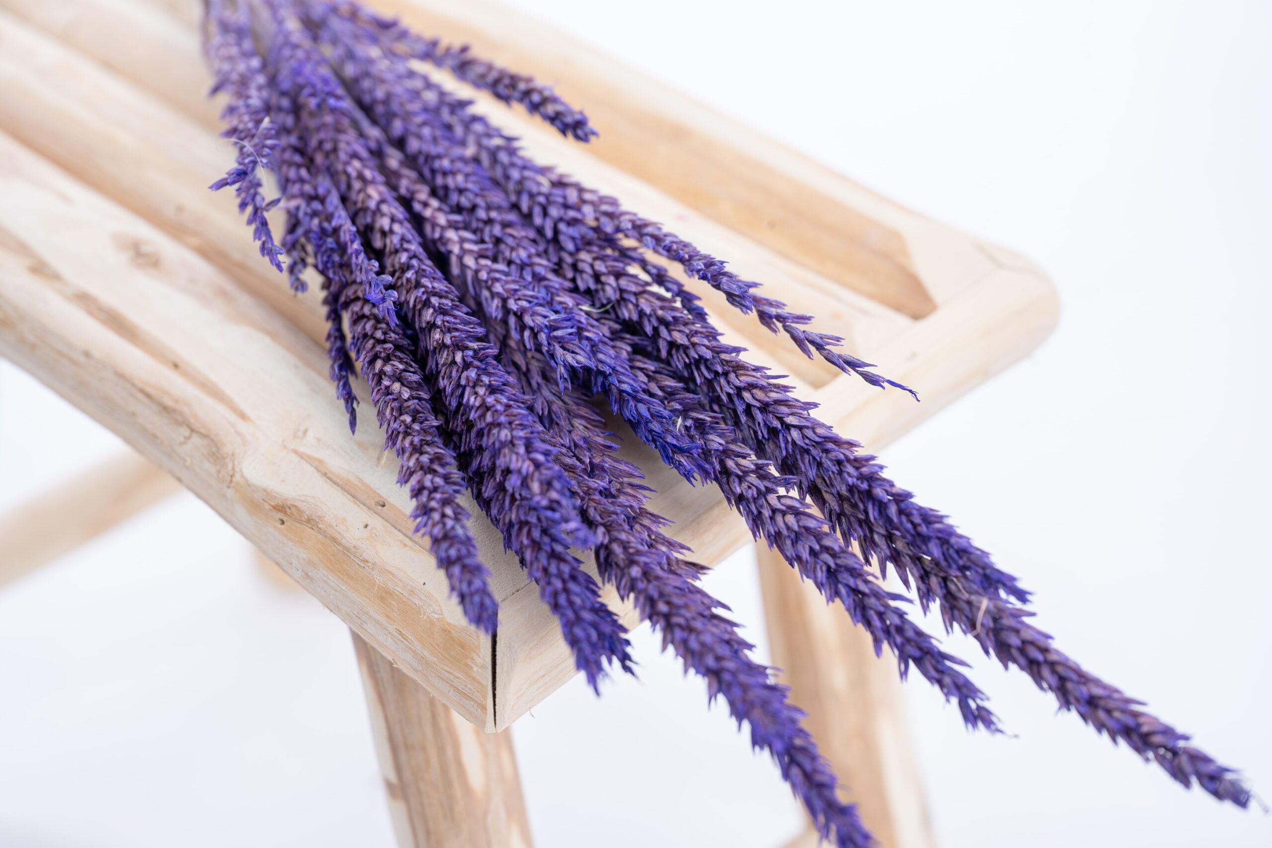 Fleur séchée colorée en violet, fleur de pays Terralya