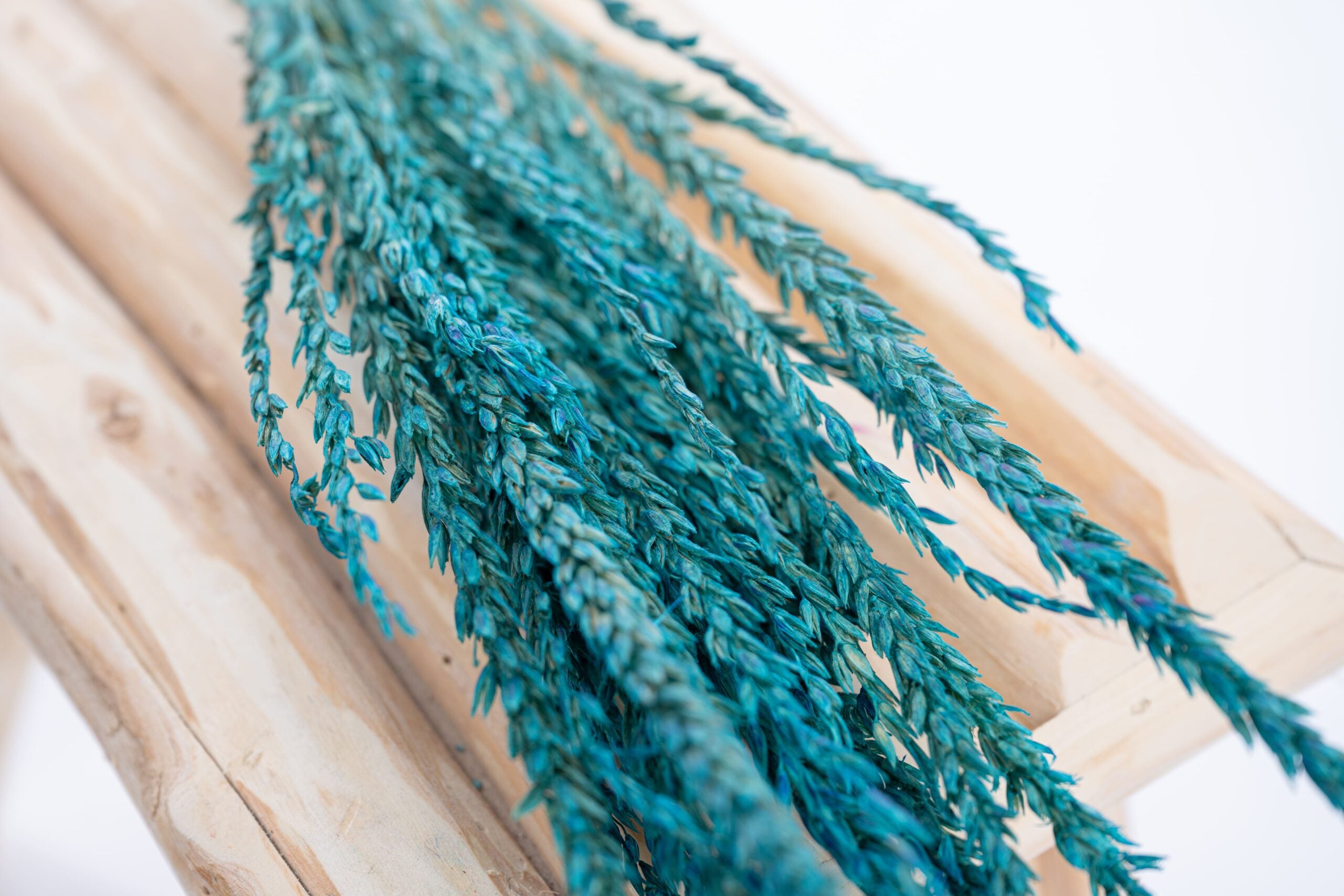 Fleur de pays colorée bleu canard, teinte profonde et élégante