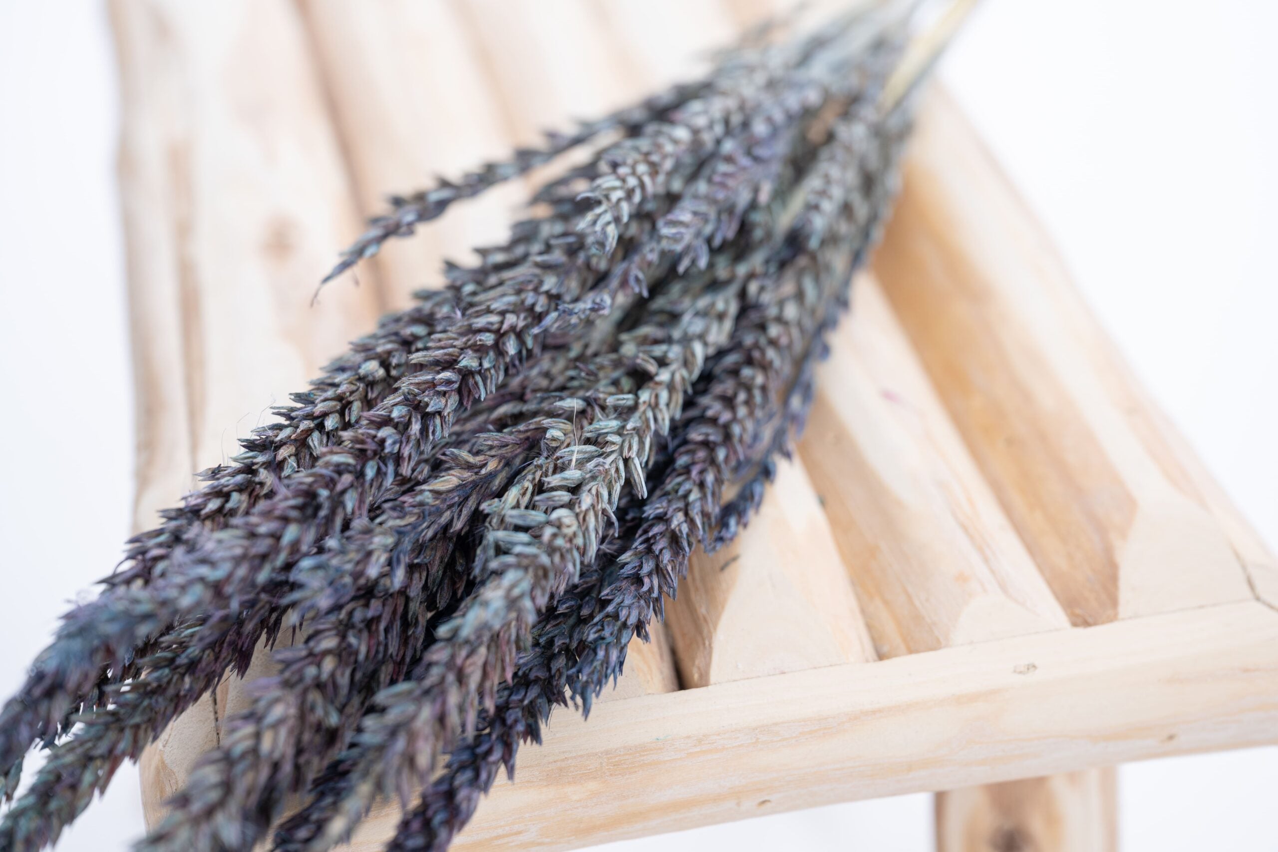 Fleur de pays teintée bleu gris, séchée naturellement