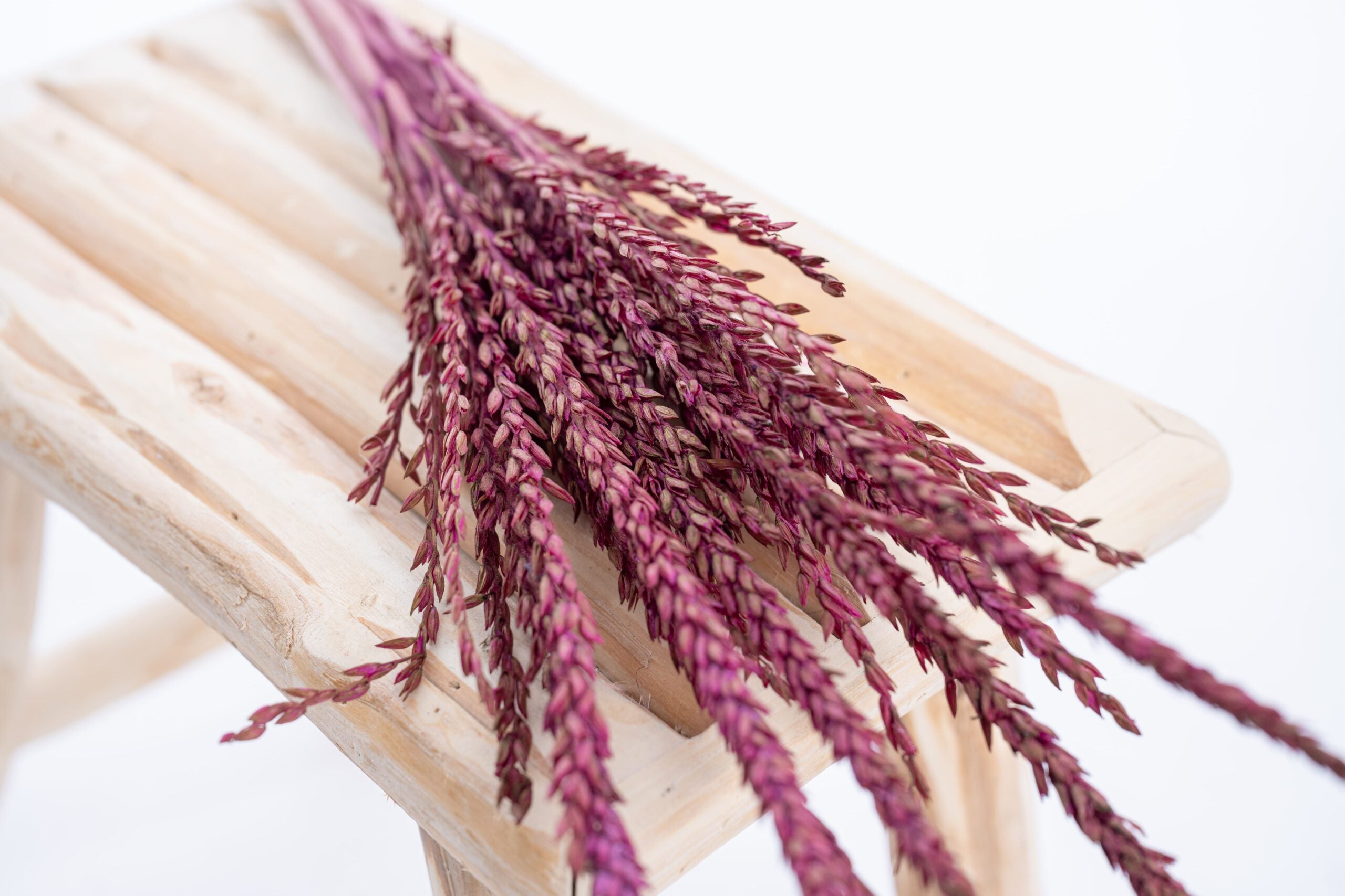 Fleur de pays teintée cyclamen, rose soutenu et vibrant