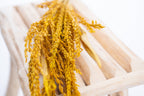 Fleur de pays jaune Kamala, teinte éclatante et lumineuse