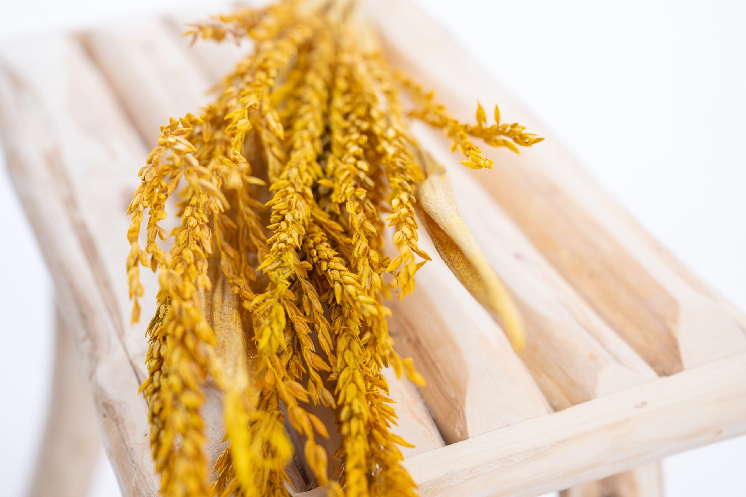 Fleur de pays jaune Kamala, teinte éclatante et lumineuse