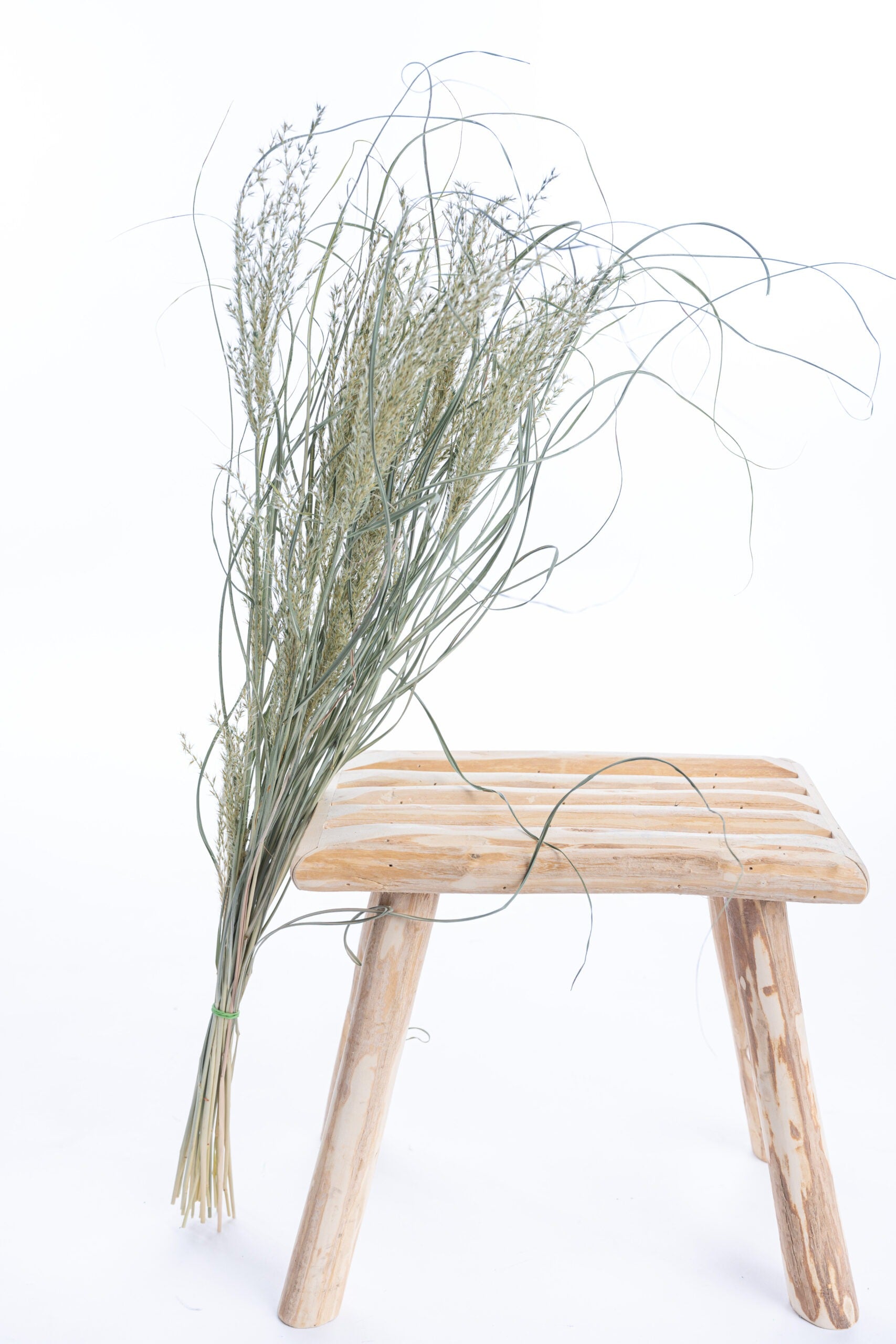 Miscanthus local séché, couleur douce et apaisante