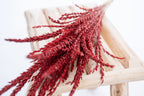 Fleur de pays colorée en rouge intense, séchée et teintée à la main