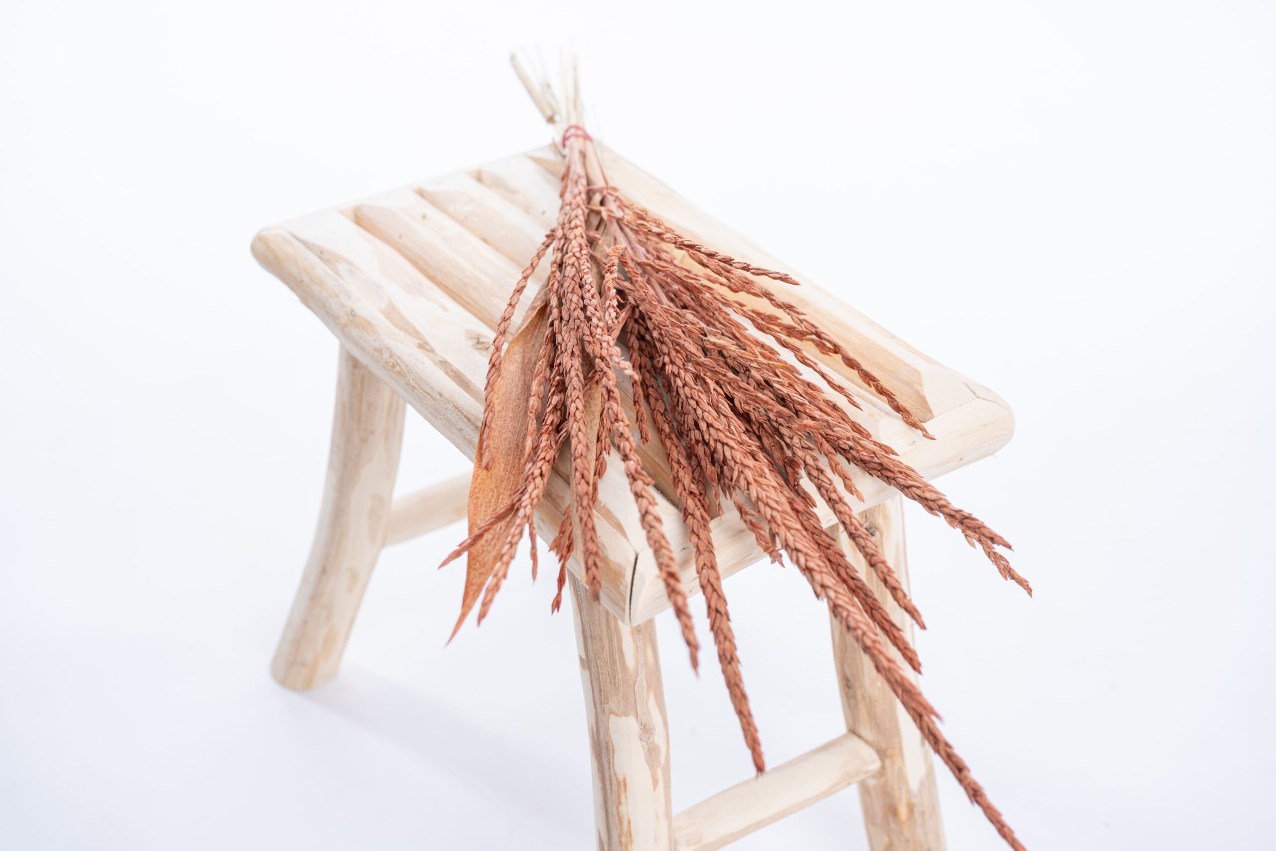 Fleur de pays colorée en terracotta, séchée et teintée à la main