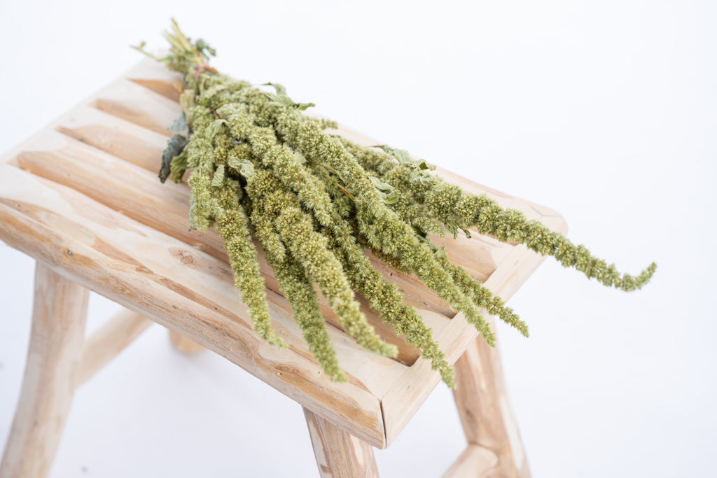 Amarante verte séchée bio en botte, fleurs françaises naturelles