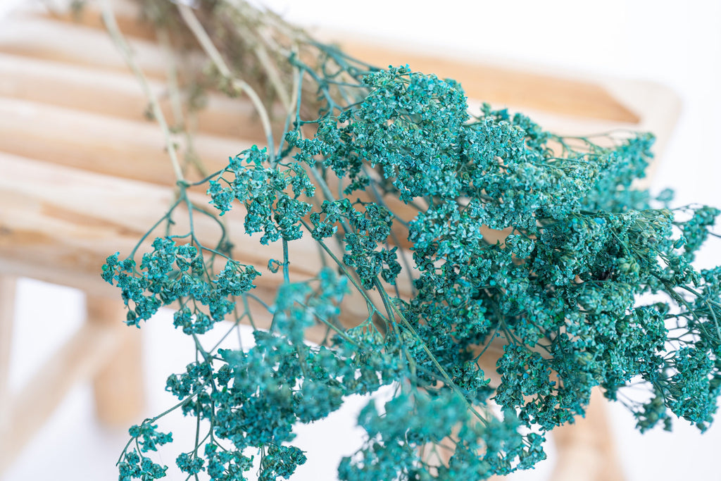 Fleurs séchées d’achillée bleu canard, couleur obtenue par pigments végétaux et minéraux.