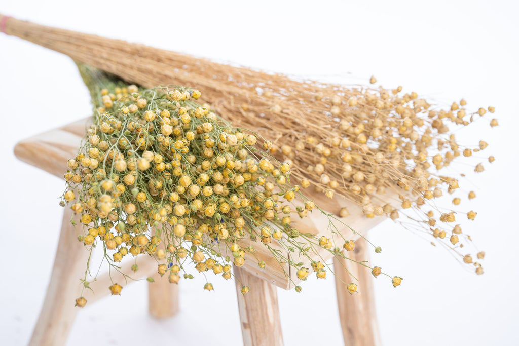 Lin séché bio, fleurs françaises naturelles