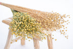 Lin séché bio, fleurs françaises naturelles