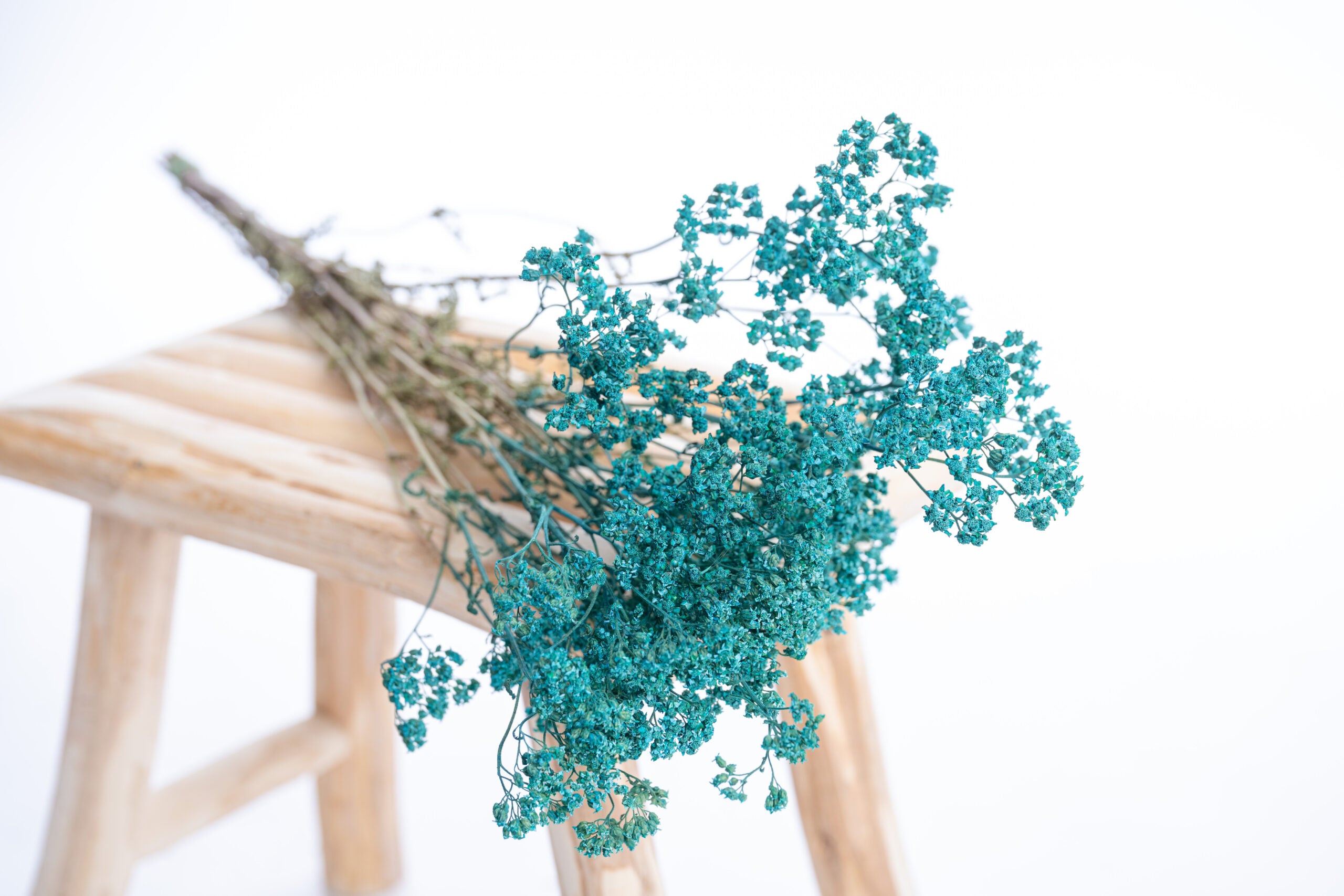 Achillée bleu canard séchée, colorée naturellement avec pigments végétaux et minéraux.