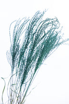 Miscanthus bleu canard cultivé en bio, séché et coloré artisanalement avec pigments naturels.