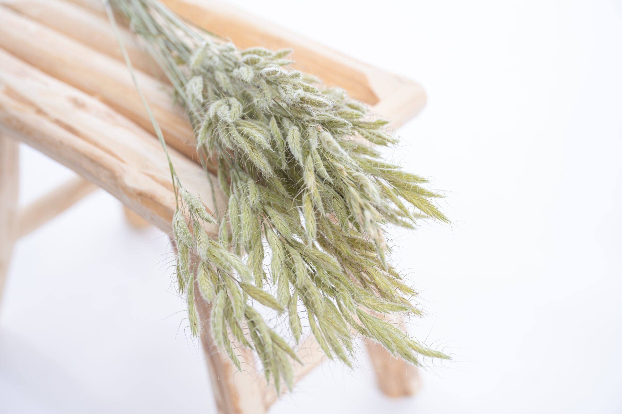 Tiges de brome séché, graminée fine cultivée en bio chez Terralya