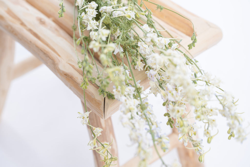 Fleurs séchées delphinium blanc bio de producteur français