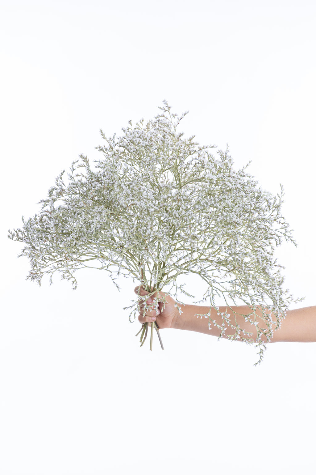 Botte de Limonium tartaricum séché tenue en main – fleur séchée bio française Terralya
