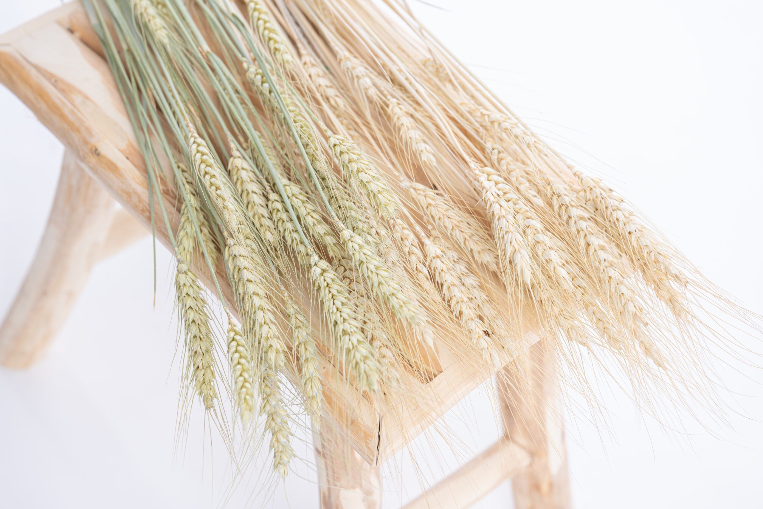 Fleurs séchées blé bio de producteur français