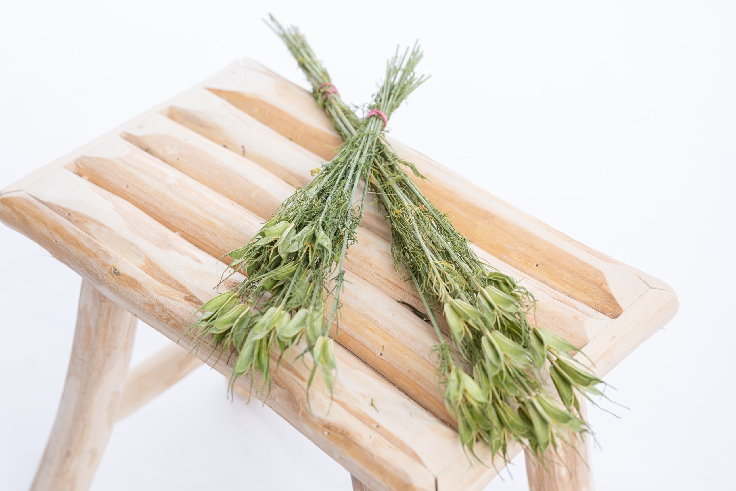 Nigelle orientale bio prête à être séchée pour la décoration