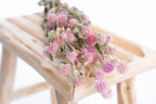 Gomphrena séchée bio française pour décoration florale
