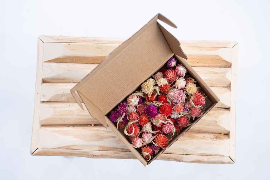 Sélection de têtes de gomphrena pour projets DIY et déco