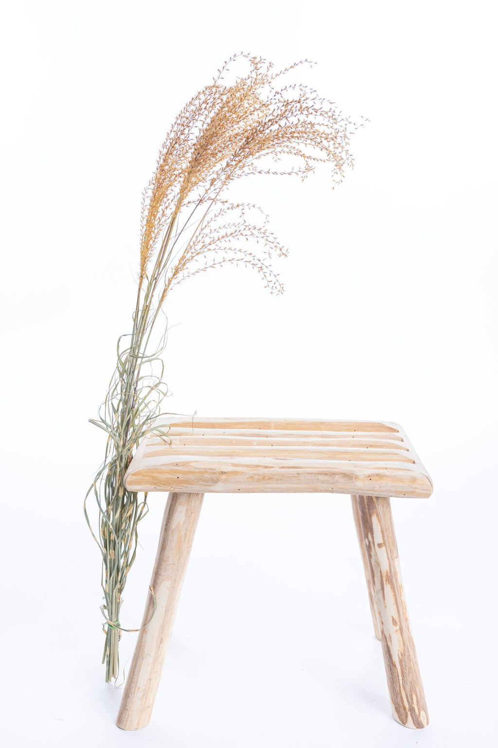 Miscanthus séché Terralya – couleur moutarde clair