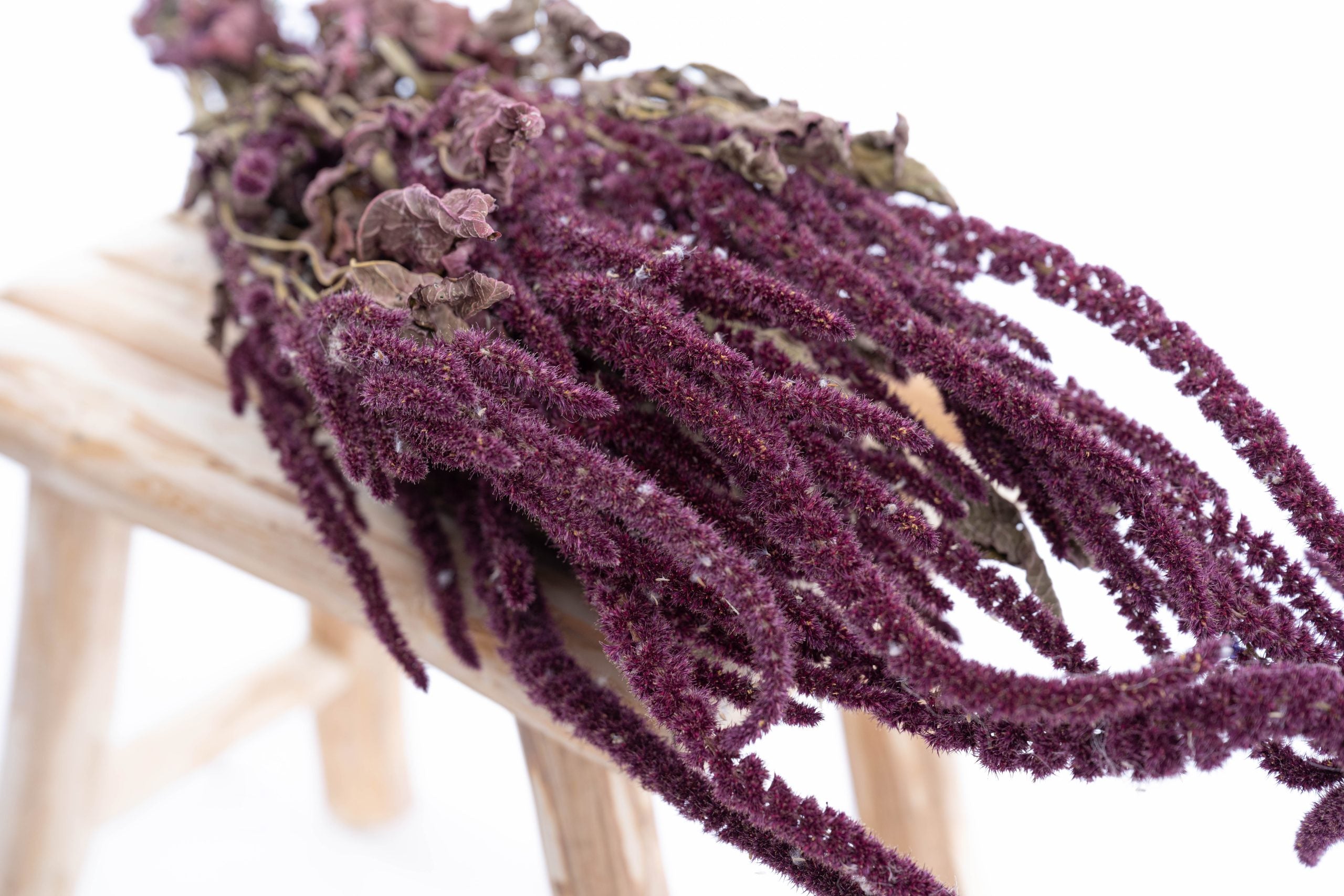 Amarante séchée bio cultivée en France en vrac