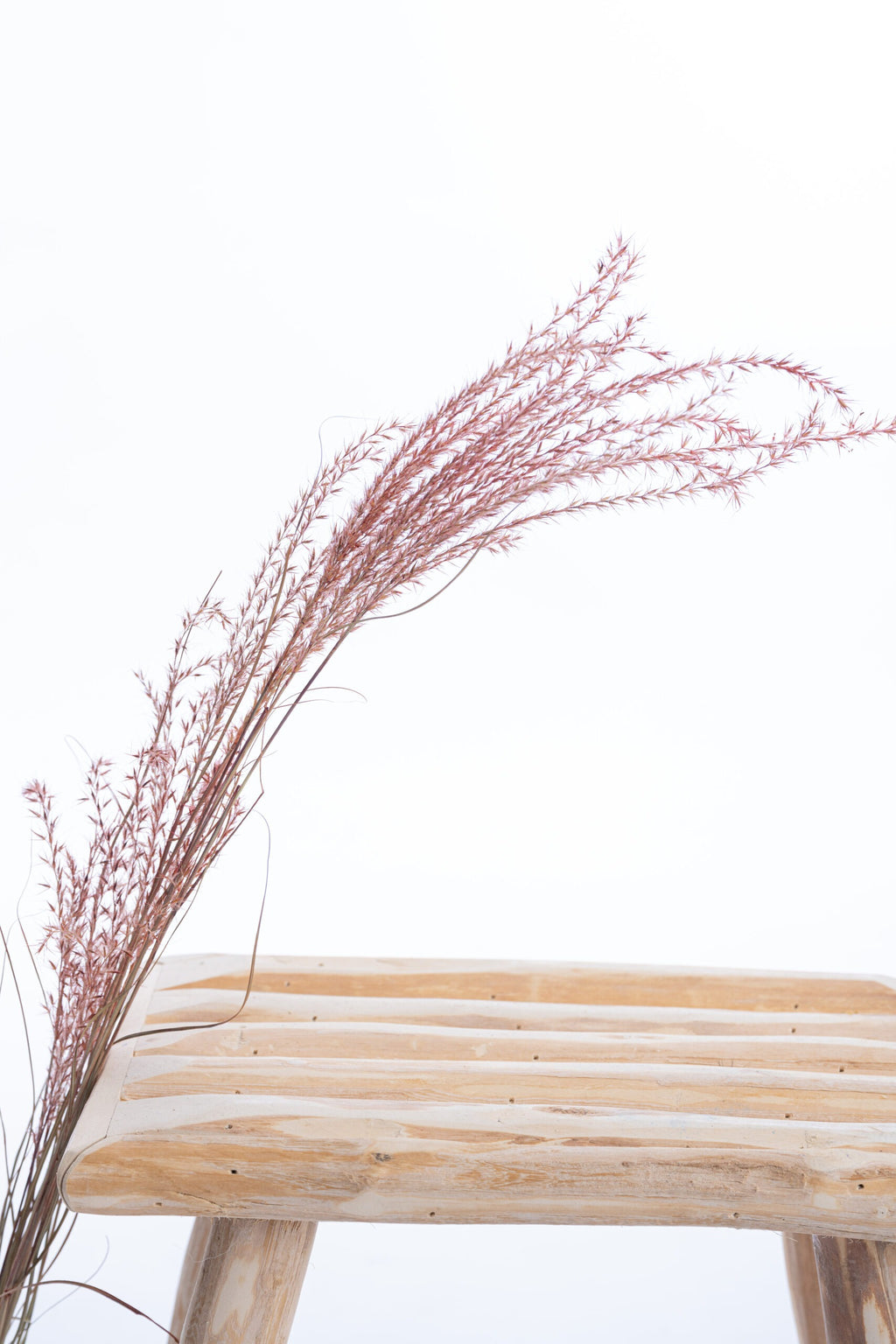 Fleurs séchées rouge naturel – graminée