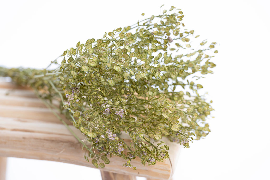 Fleurs séchées d’ibéris bio artisanales françaises