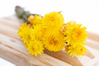 Fleur séchée jaune vif – immortelle bio française
