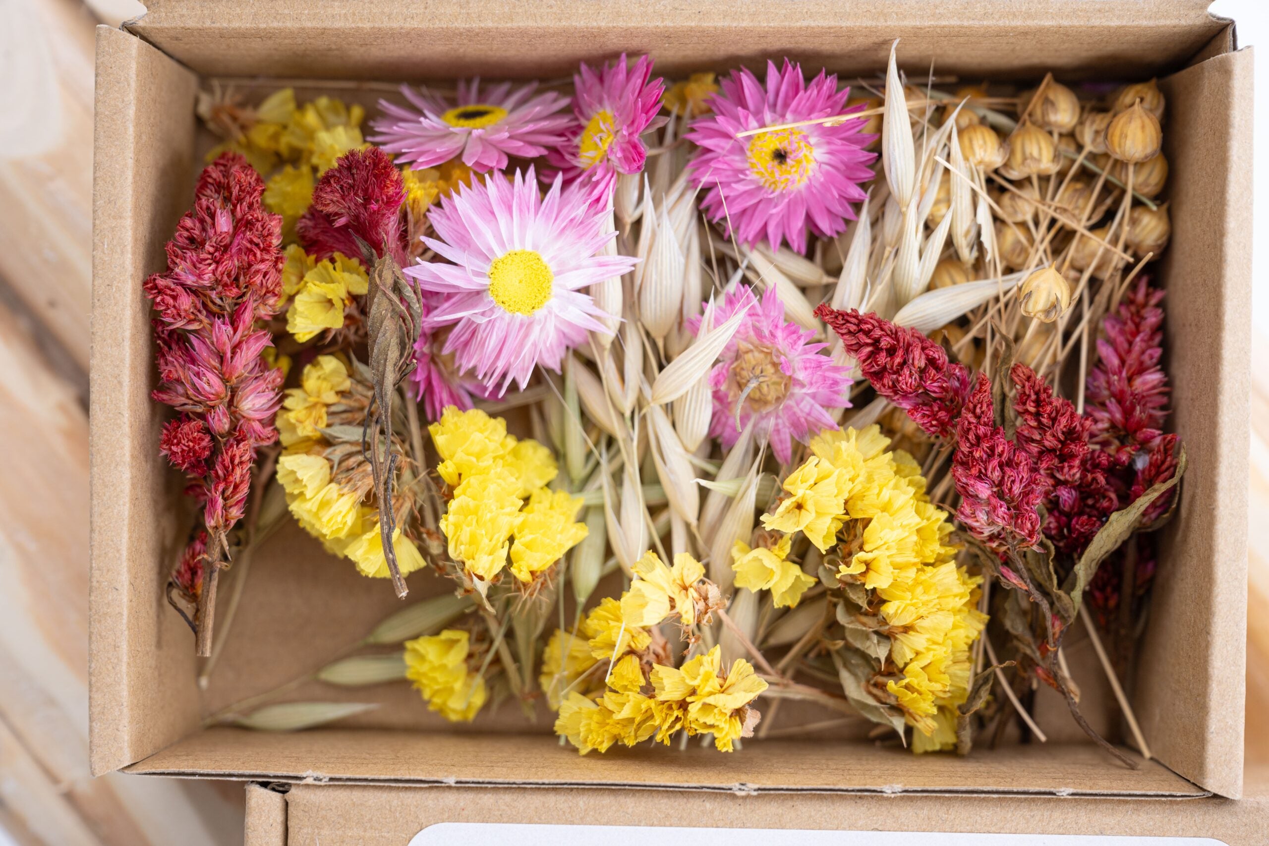 Têtes de fleurs séchées champ coloré pour DIY bougies et créations artisanales
