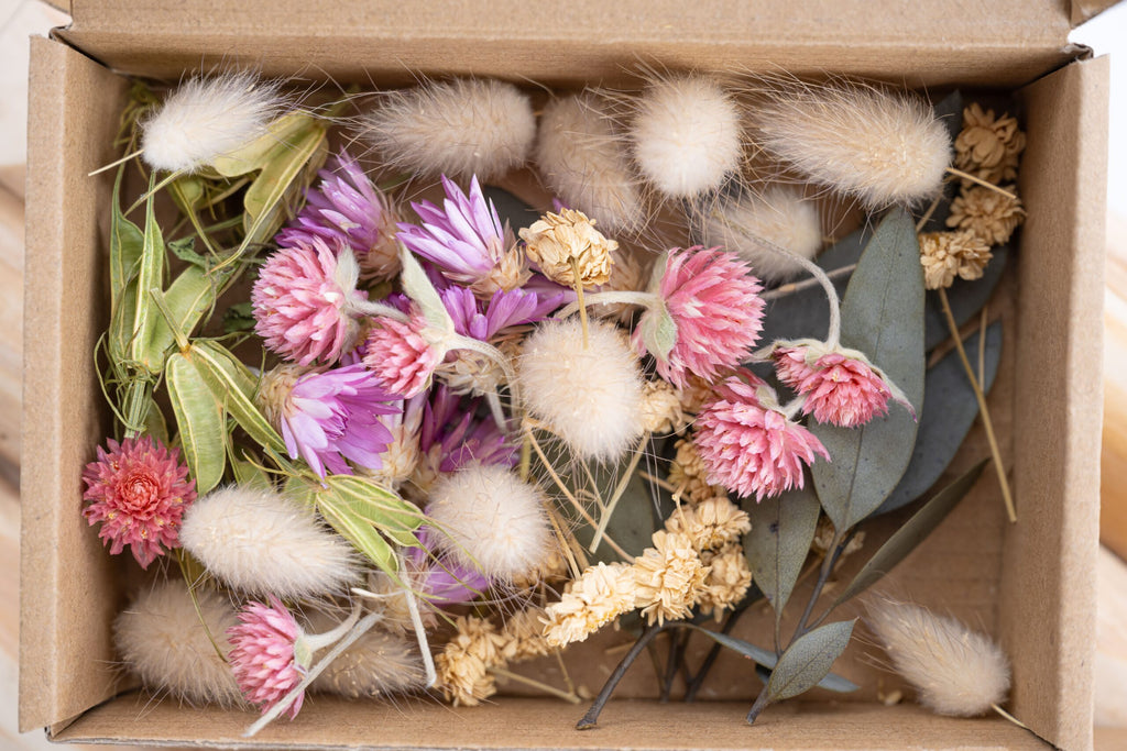 Kit d’assemblage floral douceur botanique en têtes de fleurs séchées