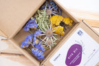 Kit d’assemblage floral éclat provençal en fleurs séchées