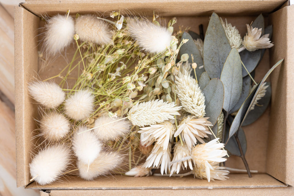 Têtes de fleurs séchées naturelles pour créations fines