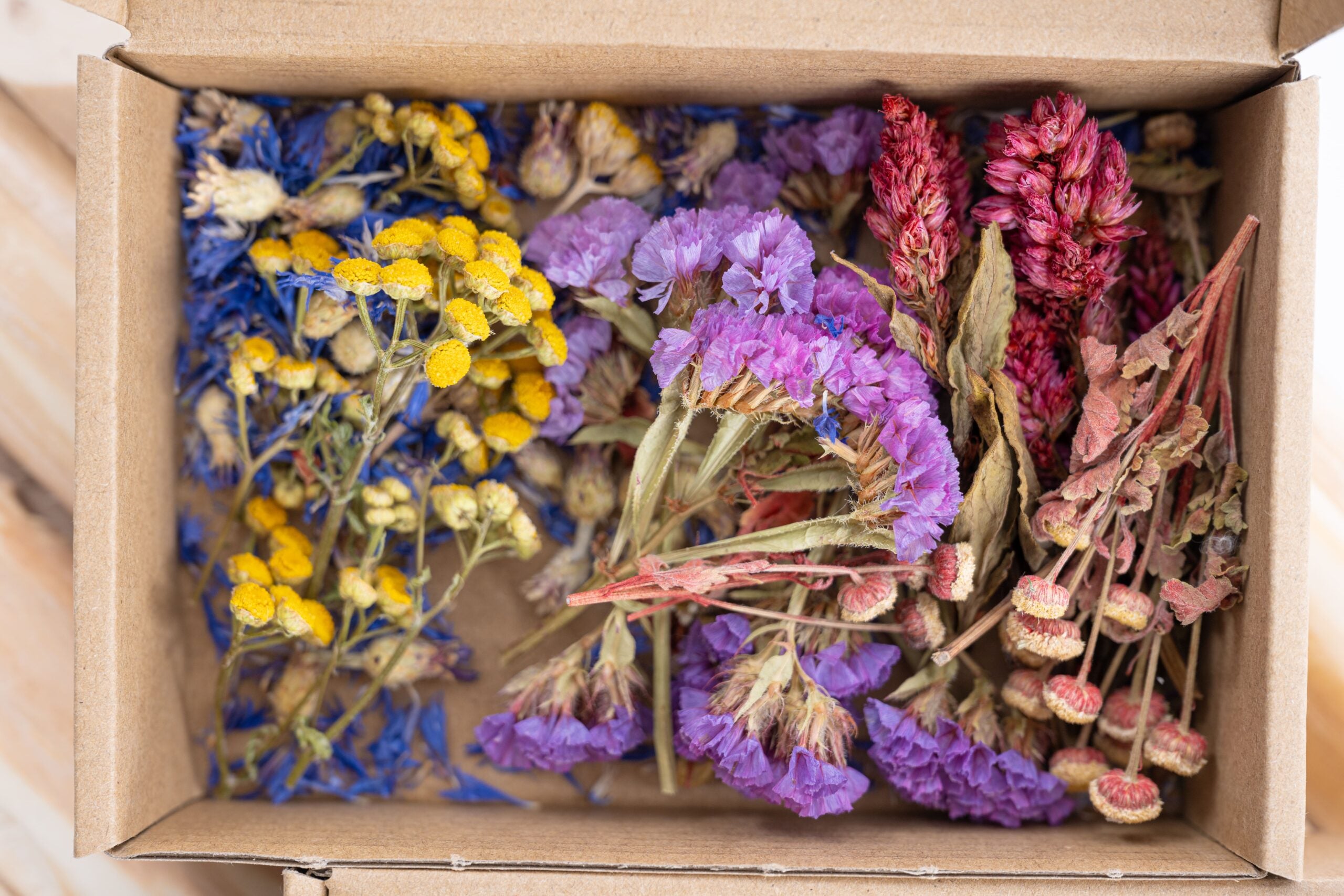 Têtes de fleurs séchées pastel pour créations délicates