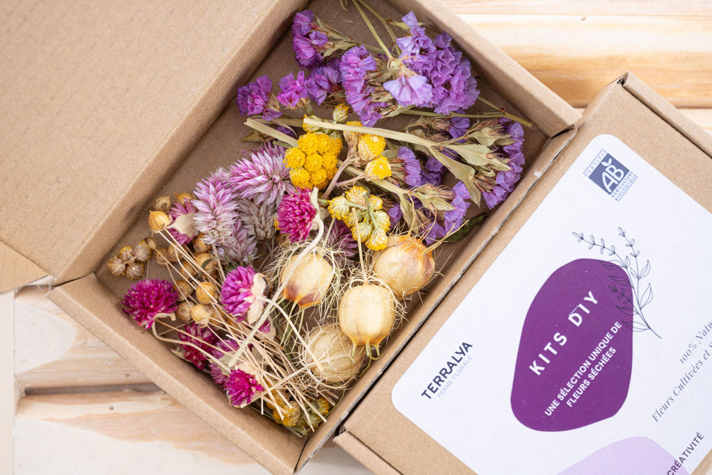 Kit floral rose sauvage en têtes de fleurs séchées