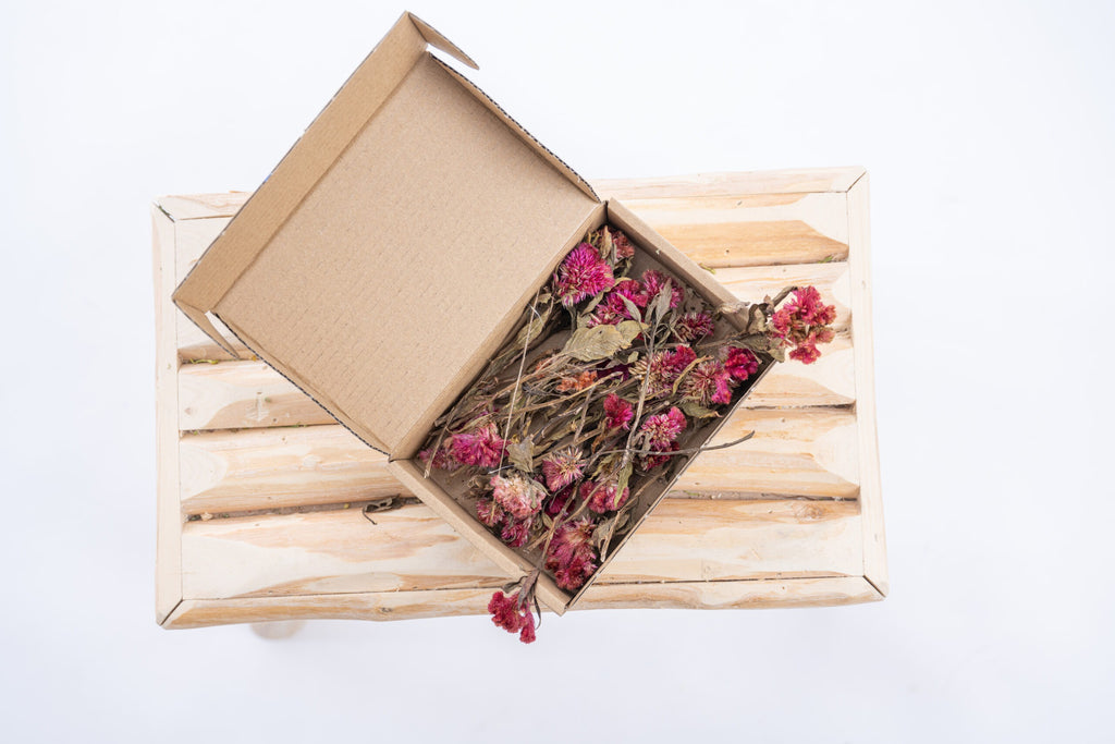 Tiges de célosie rose séchées pour projets DIY et déco