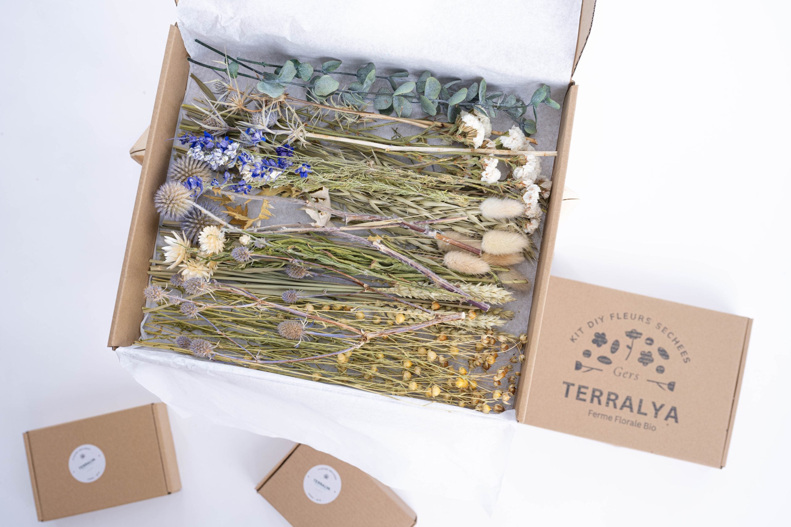 Kit DIY fleurs séchées françaises couleur ble