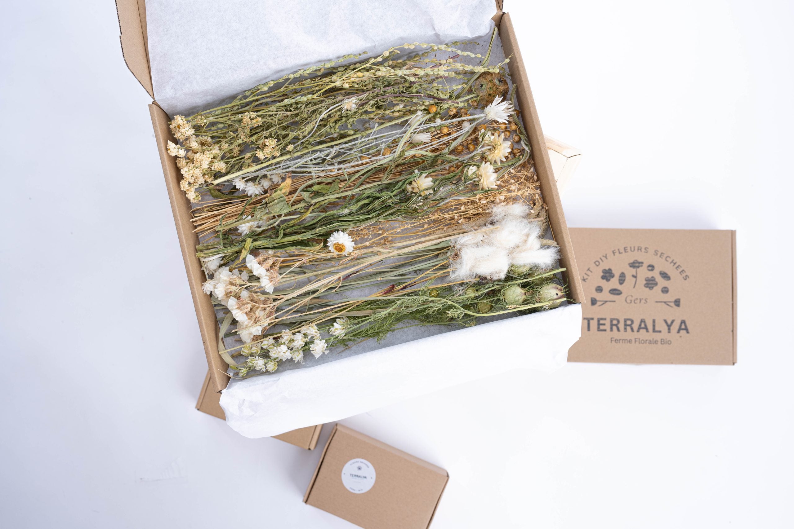 Kit DIY bouquet fleurs séchées ton blanc