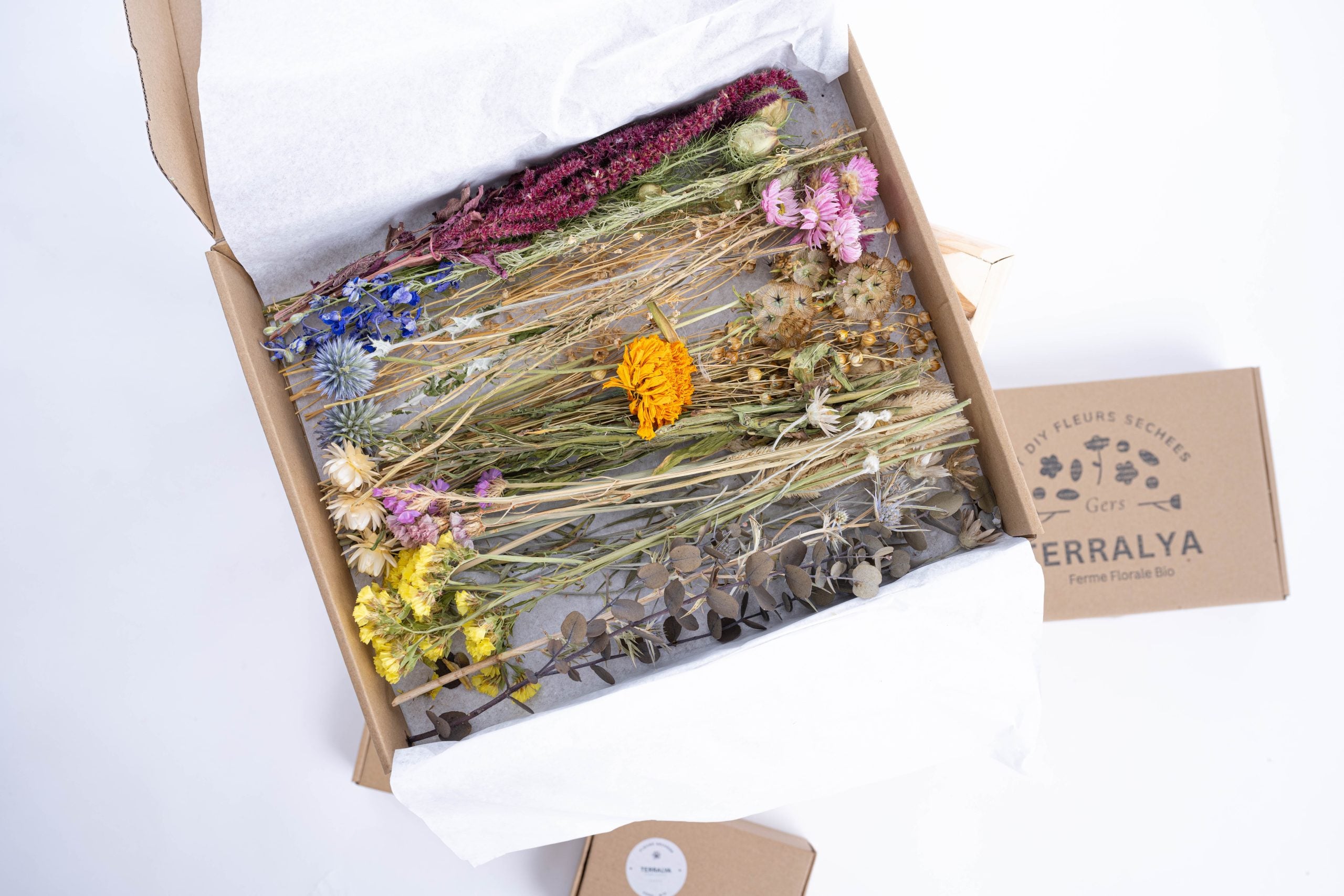 Boîte DIY fleurs séchées multicolores