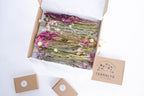 Coffret DIY fleurs séchées en nuances de rose