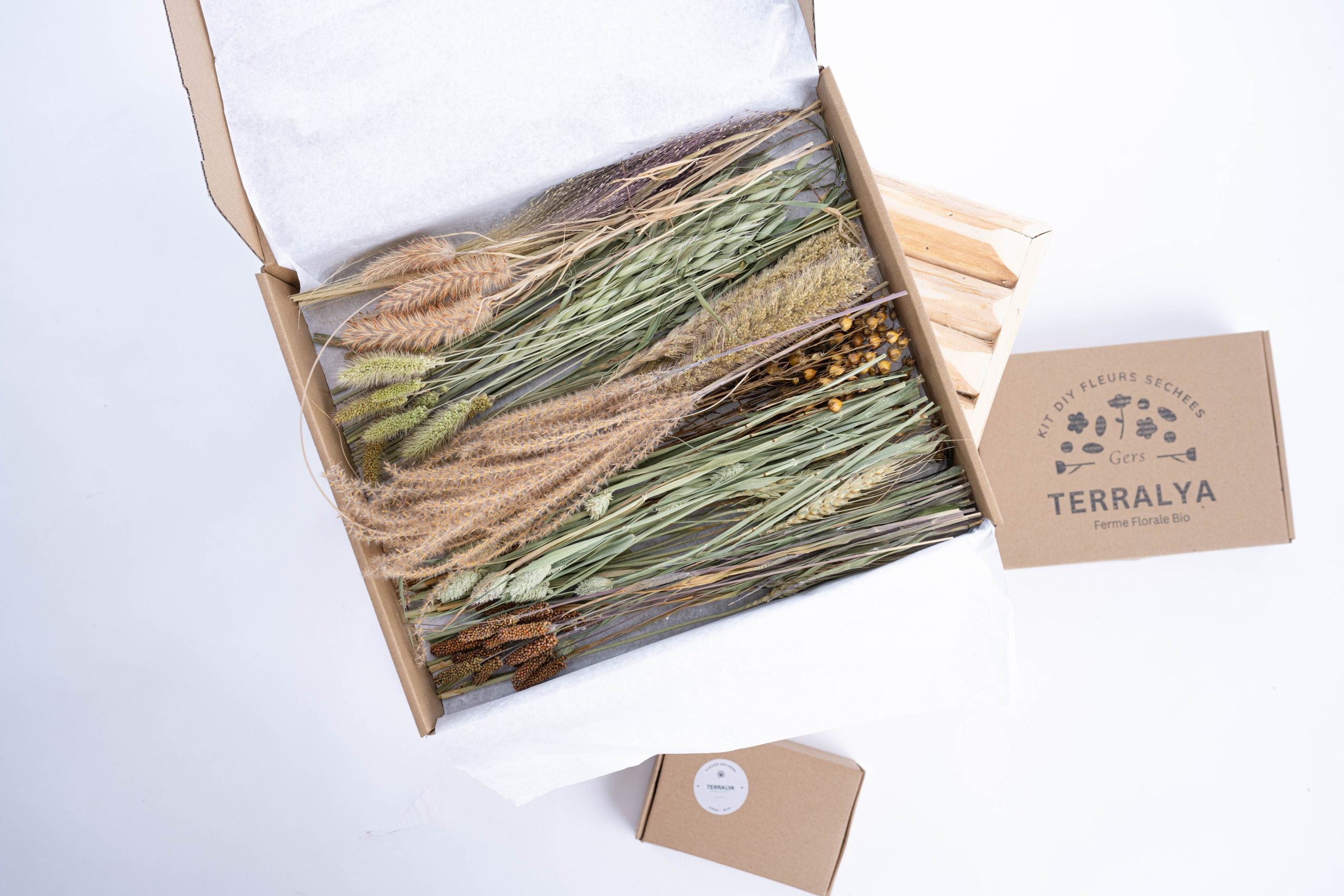 Coffret DIY assortiment de graminées séchées