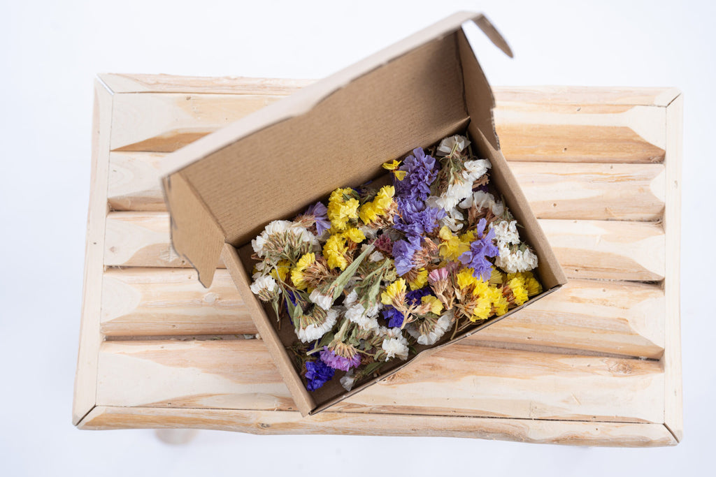 Têtes de statice séchées naturelles pour créations artisanales