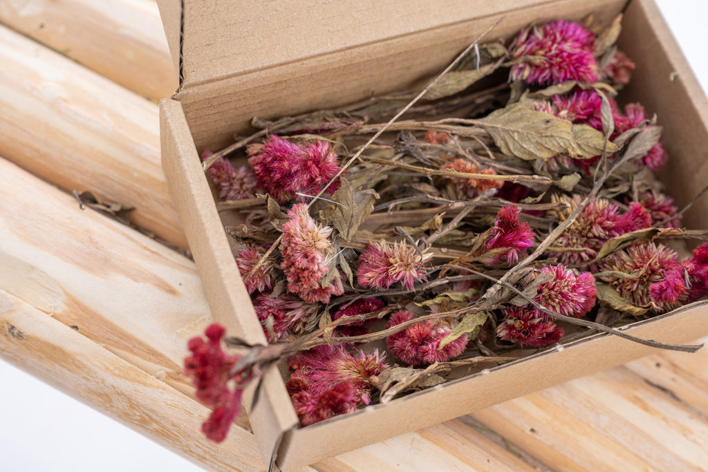 Tiges de célosie rose séchées naturelles pour créations florales