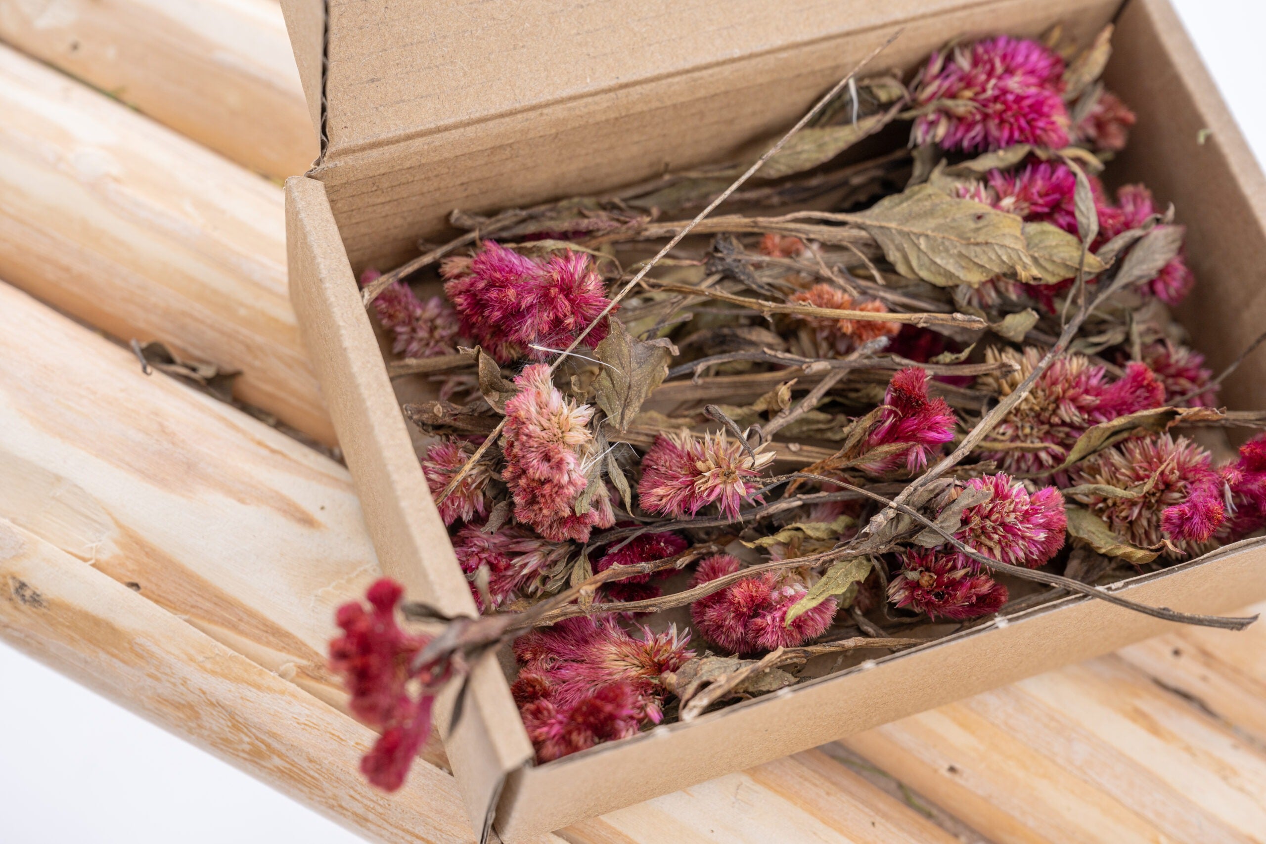 Tiges de célosie rose séchées naturelles pour créations florales