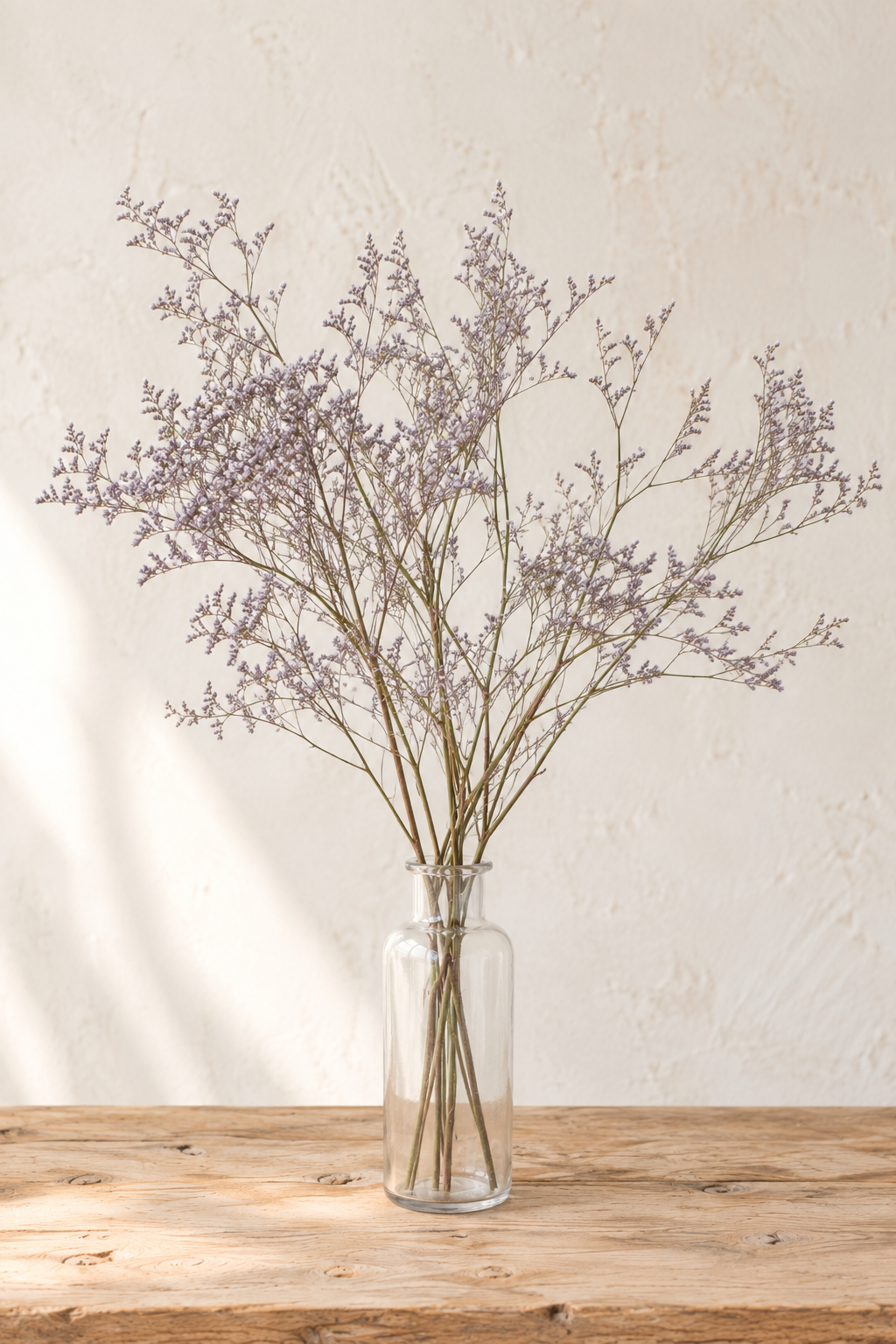 Limonium latifolium séché bio français cultivé par Terralya dans le Gers