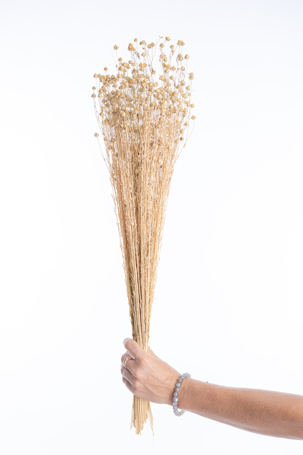 Lin séché bio naturel en botte