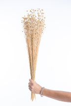 Lin séché bio naturel en botte