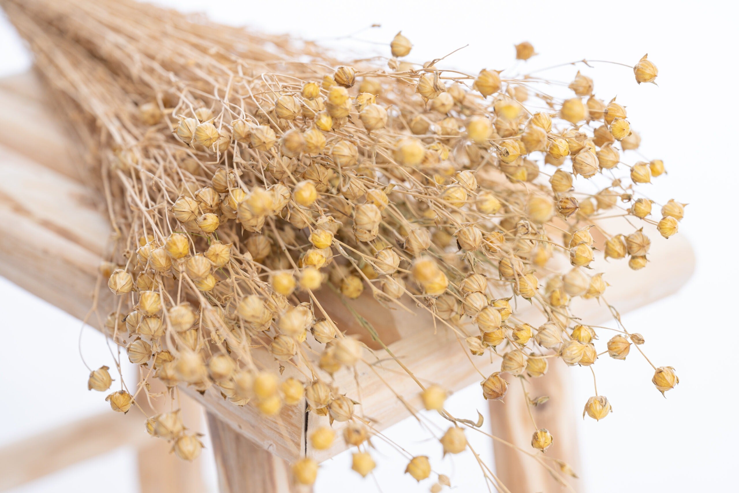 Lin séché bio en botte, fleurs séchées françaises naturelles