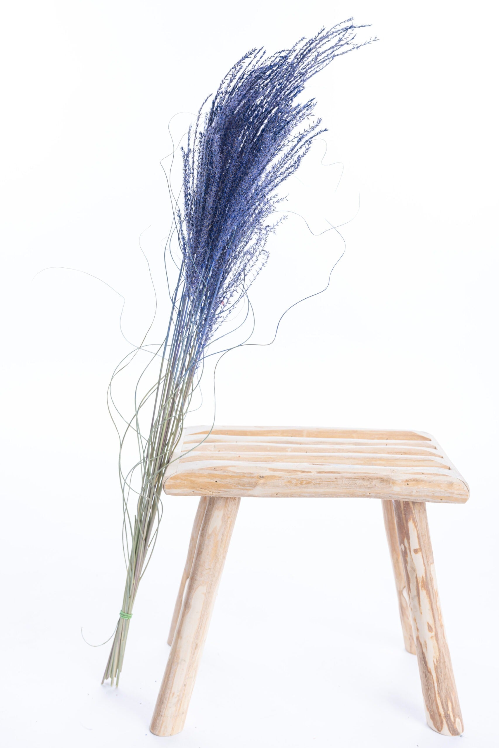 Fleurs séchées de miscanthus teinté à la ferme