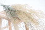 Miscanthus plumeux séché pour décoration florale