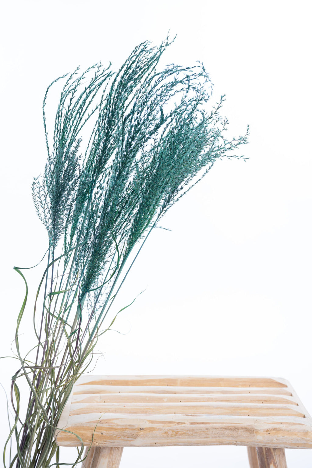 Miscanthus bleu canard séché, cultivé en agriculture biologique et coloré naturellement avec pigments végétaux et minéraux.